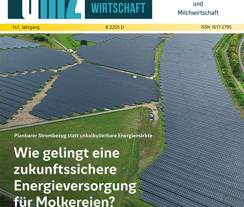 dmz Ausgabe 16/26