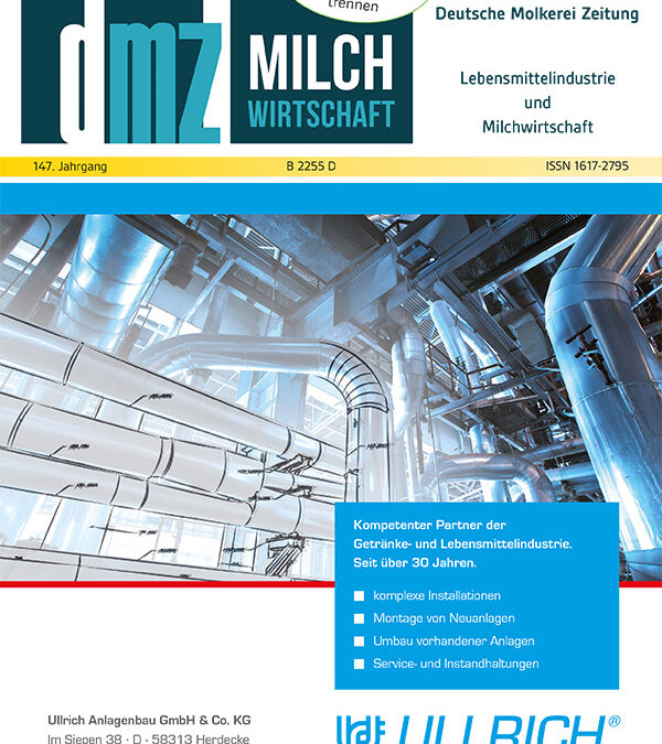 dmz Ausgabe 17/26