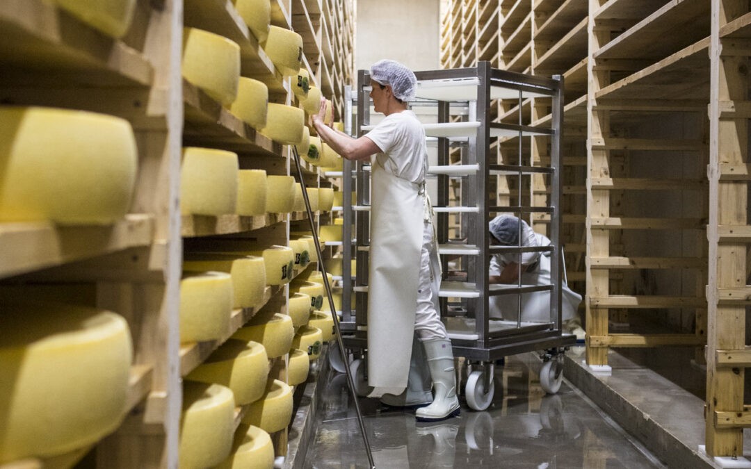 IDF World Dairy Summit 2024: Die globale Milchindustrie trifft sich in Paris
