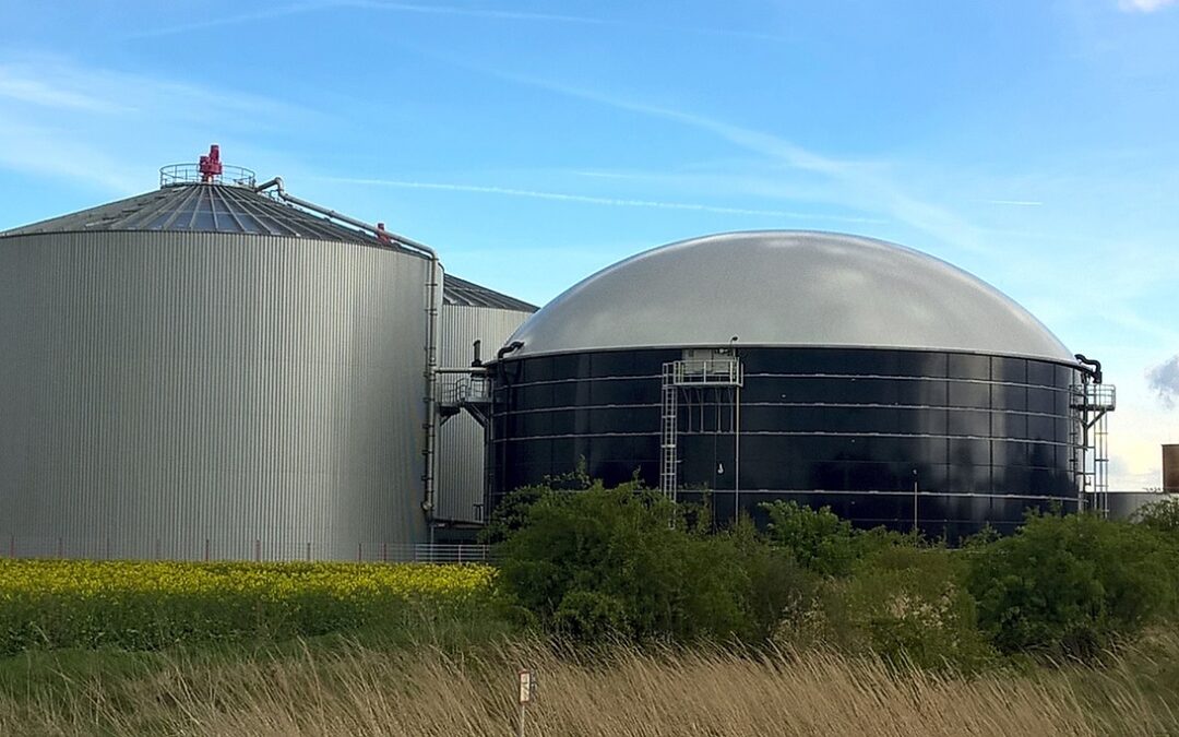 Kraftwerksstrategie vernachlässigt Biogas