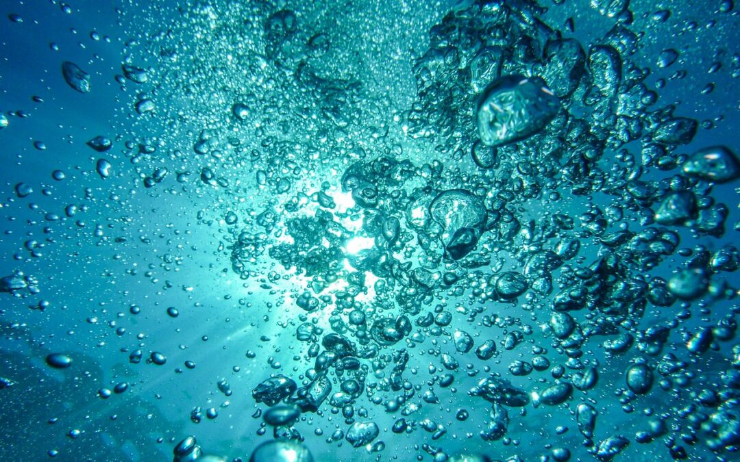 Wassercent: Köhler nimmt Söder in die Pflicht