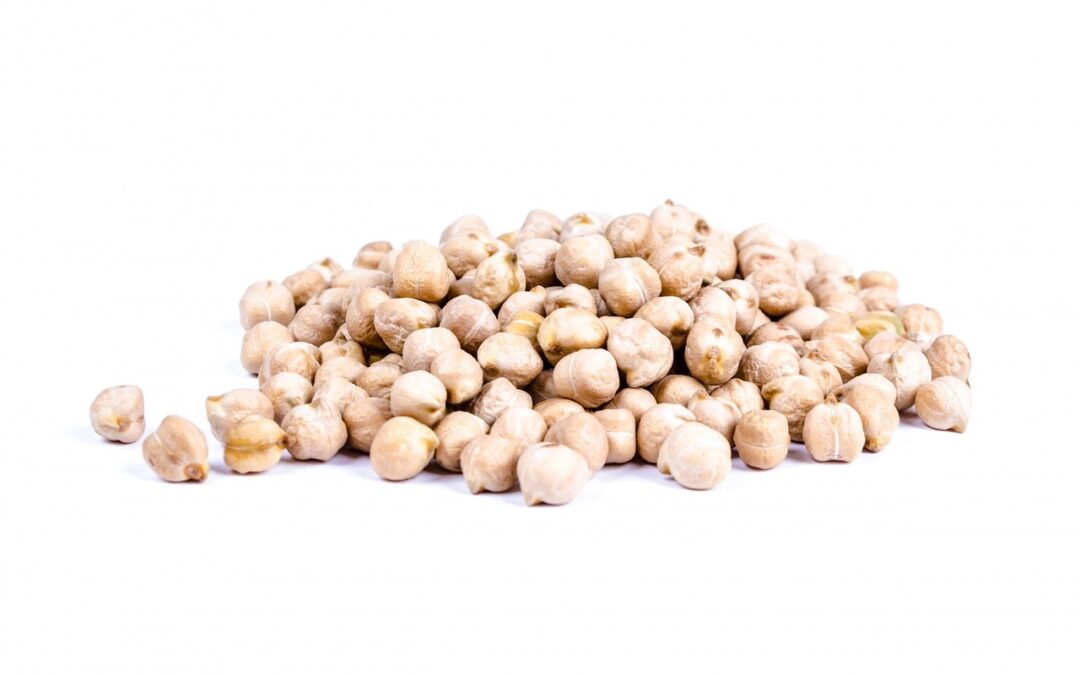 Produktion von pflanzenbasierten Proteinen geplant