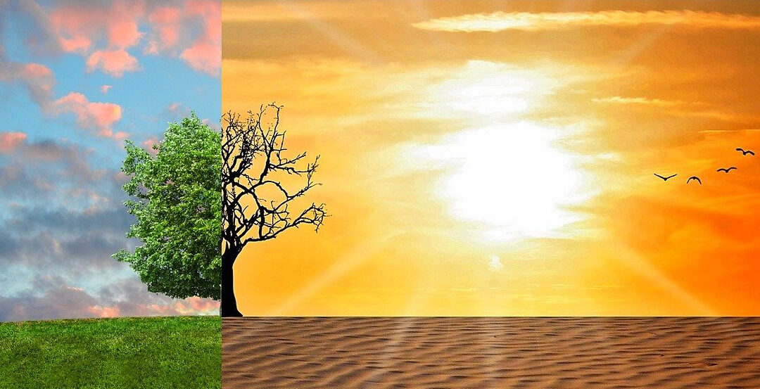 Entwurf für staatliches Klimasiegel soll noch 2022 kommen