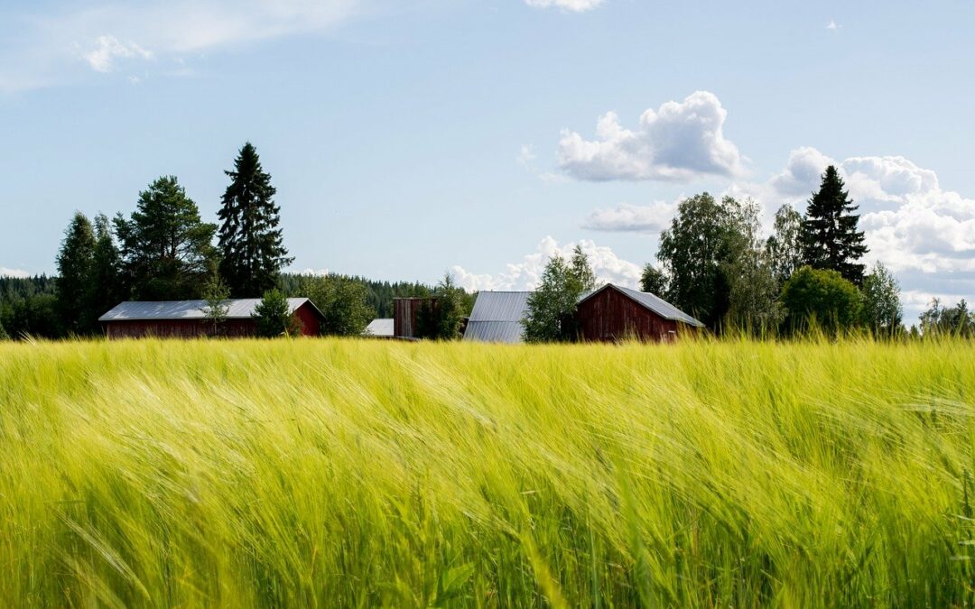 Agrarhandel: Finnland startet Exportoffensive