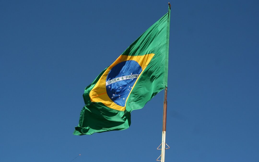 Brasilien baut Tierexport per Schiff aus