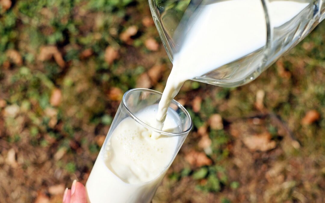 Gentechnikfreie Milch 2023 über 75 Prozent Marktanteil