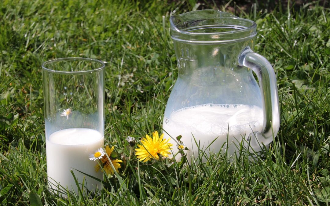 Milchpreise: EMB fordert faire Kalkulation