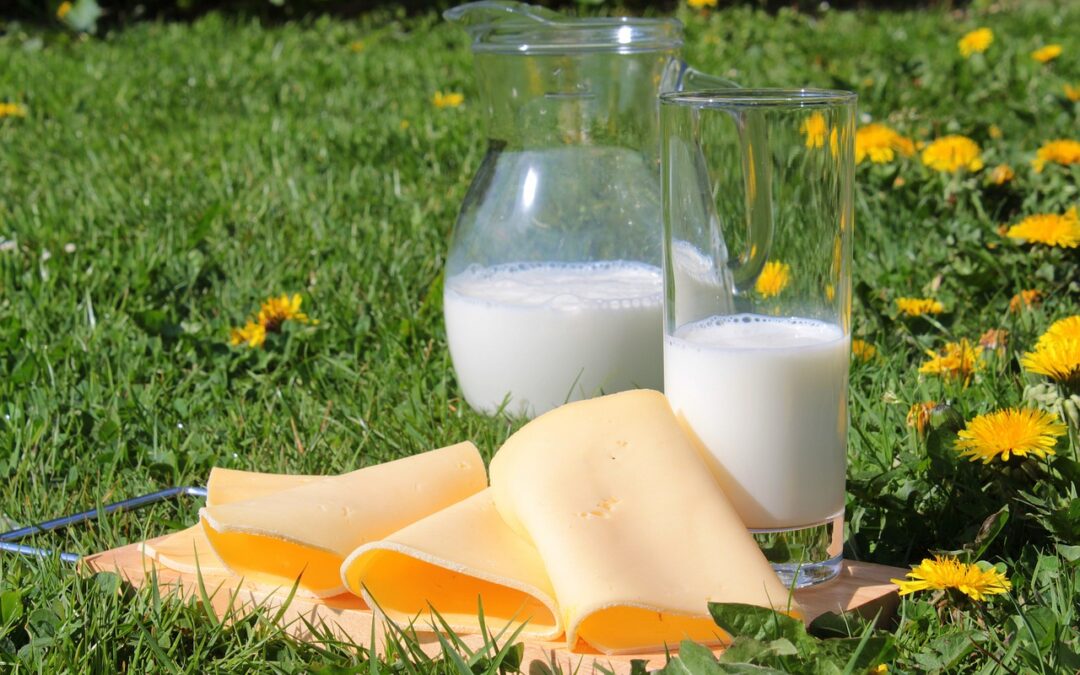 Kuhmilch und Milchprodukte – DGE rät zu zwei Portionen täglich