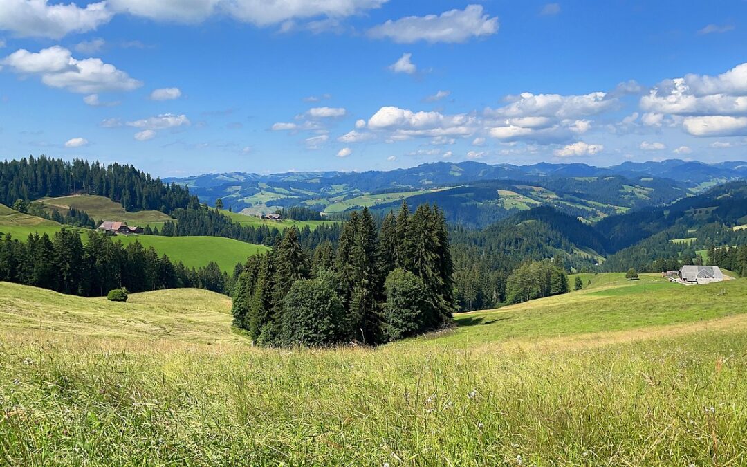 Österreicher machen Vorschläge für EU-Lebensmittelsystem