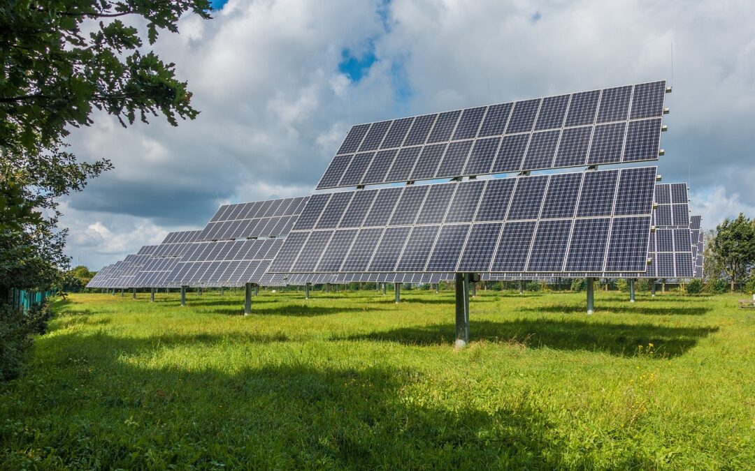 Bauernverband warnt vor Flächenverlust durch Solarausbau