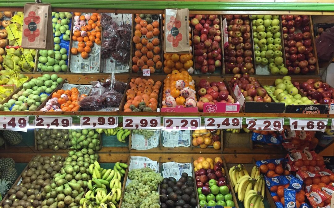 Mercosur-Handelsabkommen: Vorläufige Anwendung bleibt aktuell